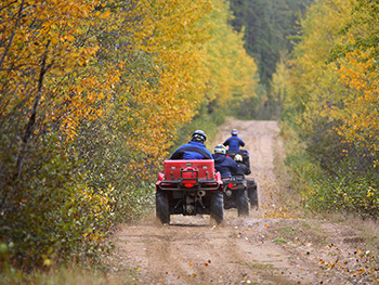 Family on three ATV's driving down a forest road in the fall.
