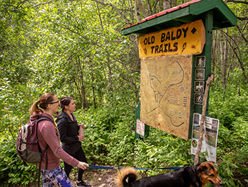 Two hikers and a dog in the summer looking at the Old Baldy Trails map in Chetwynd, BC.
